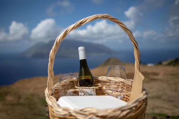 A photo of Picnic in the vineyard
