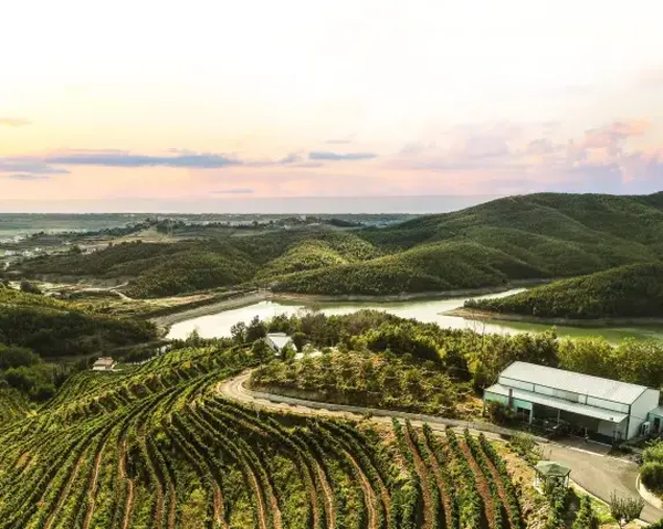 A photo of From Durres: Wine Tasting in Duka Winery