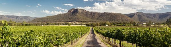 A photo of Hunter Valley