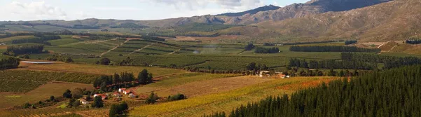 A photo of Franschhoek Valley