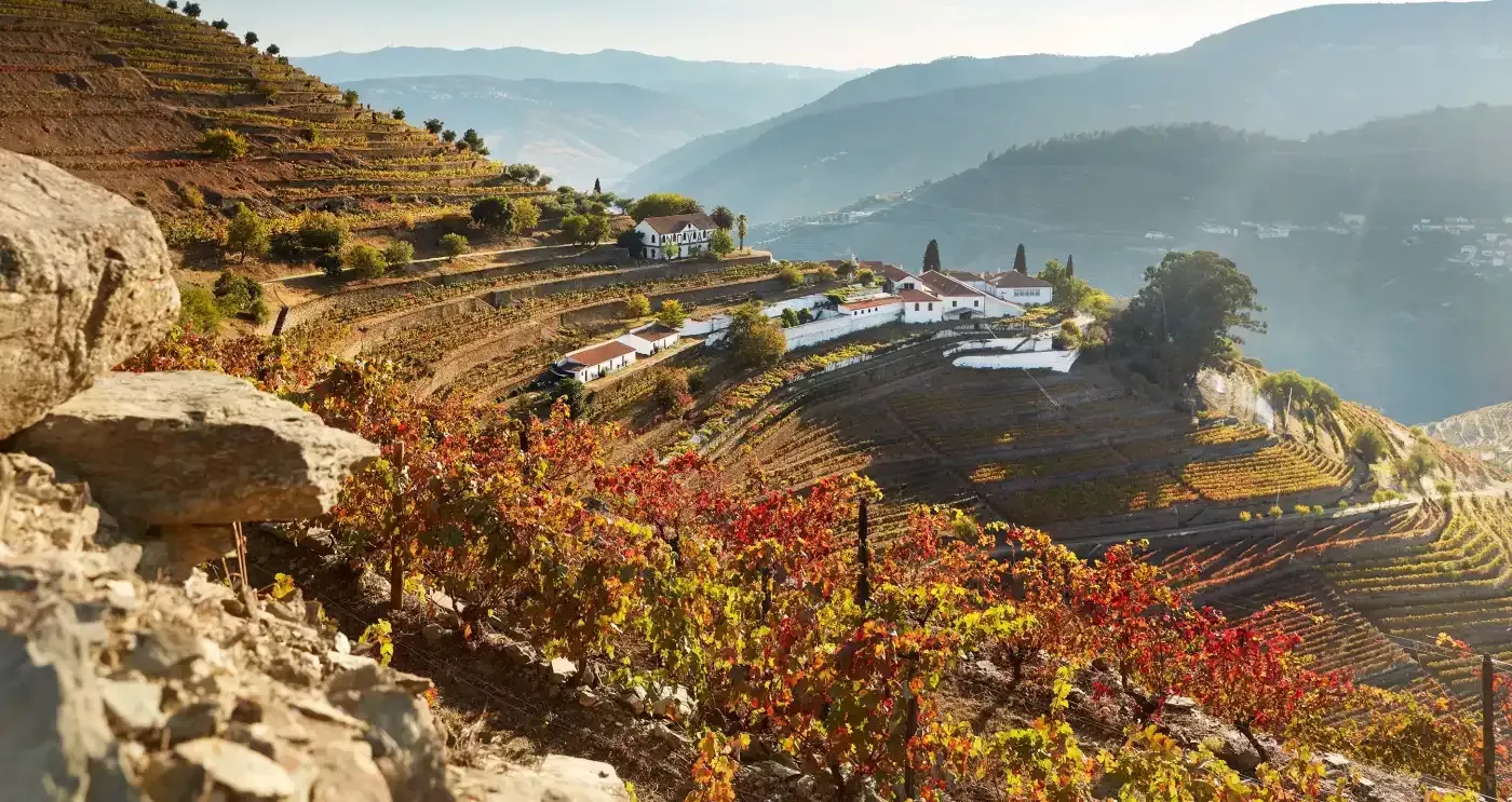 A photo illustrating Douro Valley